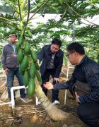 脱贫大决战:贵州大扶贫系列报道之二十五