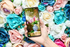 亲民价格诚意满满 三星Galaxy S10系列预售