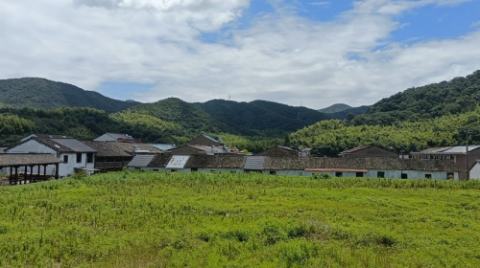 旺红途:浙财大学
